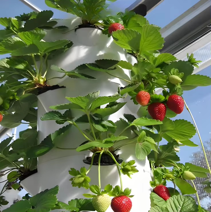 Modułowy hydroponiczny system  – Urban Farming Hydroponics recenzja i cena