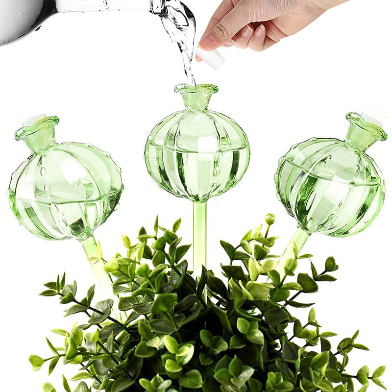 Automatyczne kule nawadniające – Urban Farming System recenzja i cena